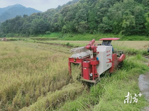 科技興農(nóng) 新型農(nóng)機(jī)設(shè)備助推翁源現(xiàn)代農(nóng)業(yè)發(fā)展
